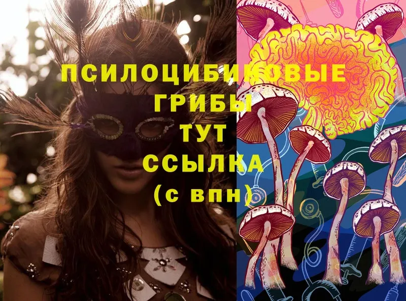 Псилоцибиновые грибы MAGIC MUSHROOMS  Каменногорск 